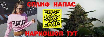СК Камышлов
