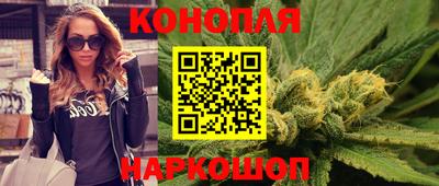 прущие крисы Кандалакша
