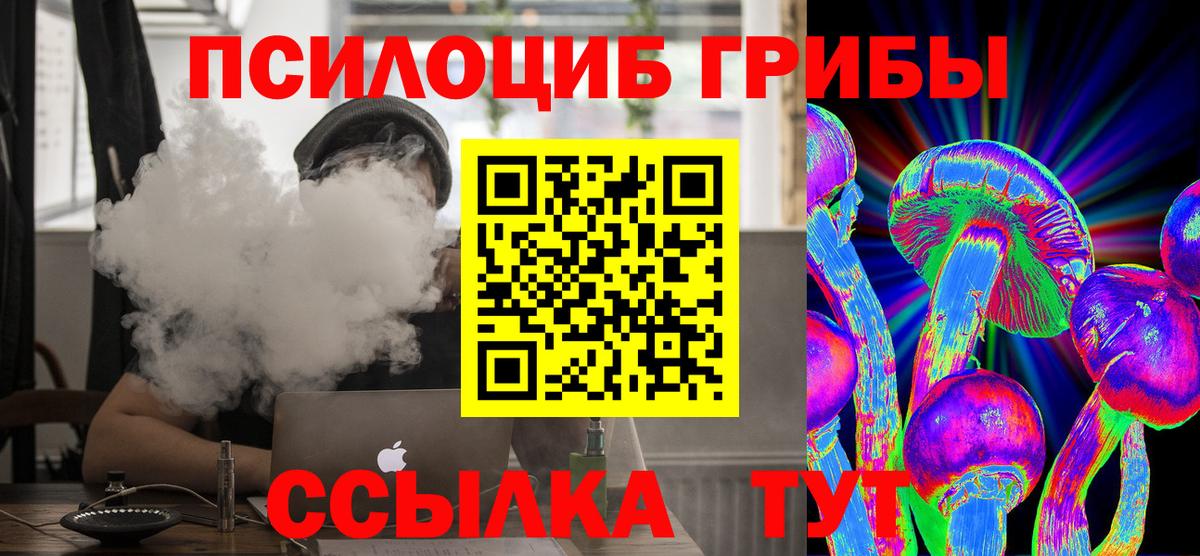 Псилоцибиновые грибы Magic Shrooms Курчалой