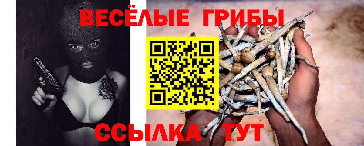 Марихуана Курчалой